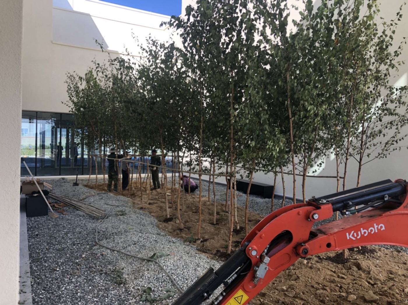 6a77fdd01d582cbea7abdea6dcb6a132_1570108526_7565.jpg